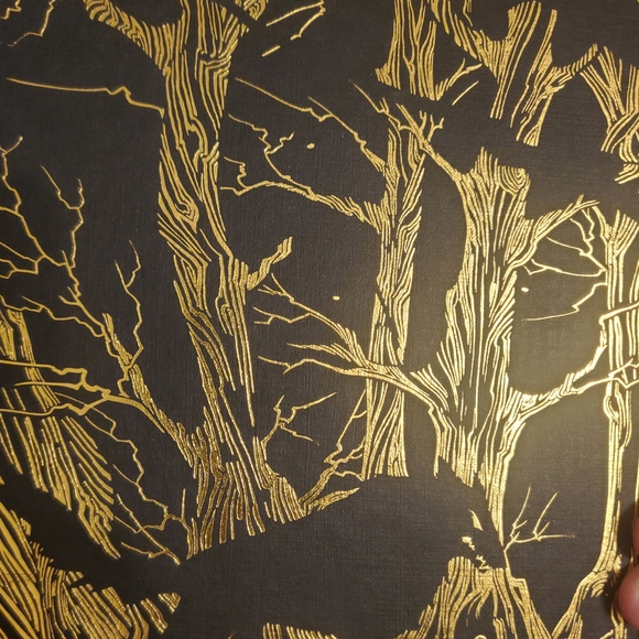 A Court of Thorns and Roses Collectors Edition - Picture 6 of 11